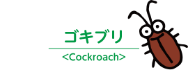 ゴキブリ＜Cockroach＞