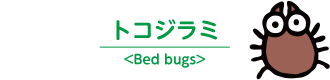 トコジラミ＜Bed bugs＞